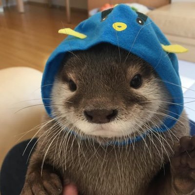 Kekejijindada's profile picture