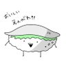 みんとちょこ's profile picture