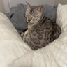 莫忆、 的头像