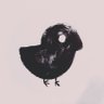 ᴛʜᴀɴɪ | ธานิ CQ8's profile picture