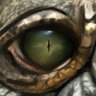 Profilbild von Fireking10