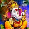 Profilbild von Gopal ji Mishra