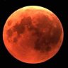 Luna Sarcazio's profile picture