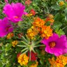 Фото профиля ga_fr80