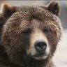 Profilbild von norjae04