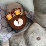 Фото профиля Albeart O'bear