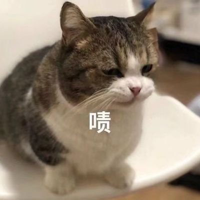 六六在发疯's profile picture
