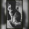 Profilbild von Angel