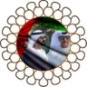 IᗷᖇᗩᕼIᗰ ᔕᗩᒪEᕼ  ابراهيم صالح 的头像