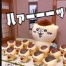 Фото профиля ぽかち