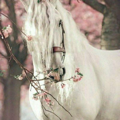 lllhlllh511's profile picture