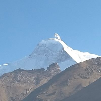 urbixxx's profile picture