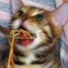 !M!'s profile picture