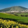 Фото профиля firsty lyon edmund-appiah