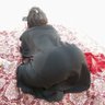 سيف ابن هيفاءk1 profil fotoğrafı
