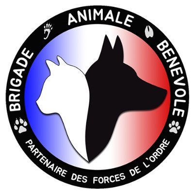 Brigade Animale Bénévole | BAB's profile picture