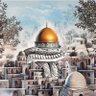 Profilbild von السحابة البيضاء(٢)