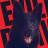 Фото профиля EviL