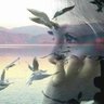 مروة جامع profil fotoğrafı