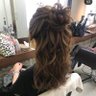 くま profil fotoğrafı