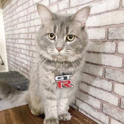 Kyatto_eye's profile picture