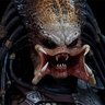Profilbild von The Predator