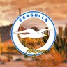 Seagulls Arizona🏜🇺🇦 的头像