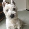 Фото профиля ⚫️Cilla 'n' Reuben (RIP)🇫🇷🇪🇺#rejoinEU 🌈 🇺🇦