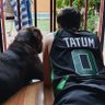 ะคะพัะพ ะฟัะพัะธะปั El Duderino