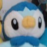 SDYM's profile picture