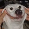 ForgottenUsername's profile picture