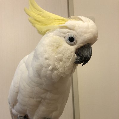 iD3Po3ITje3Y2Iy's profile picture