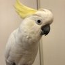 Profilbild von ユキひまヘチマ(＆カブ)