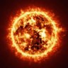 Suns tragic...'s profile picture