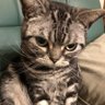 もっちゃん profil fotoğrafı