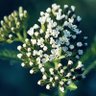 Фото профиля winter shine