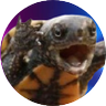 The Turtle-Pigeon's profile picture