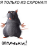 Брак Обамыч profil fotoğrafı