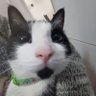 Profilbild von cami