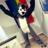 Kenzo theGrayfur🔜FWA 2025's profile picture