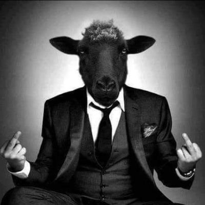 yannlbone's profile picture