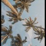 Фото профиля MBZ