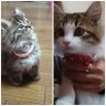 姫ちゃん profil fotoğrafı
