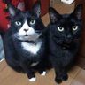 bpmam profil fotoğrafı