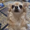 朔とゆかいな仲間たち profil fotoğrafı