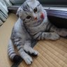 タケちゃん 的头像