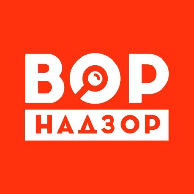 VorNadzor's profile picture