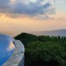 Mouna_habra profil fotoğrafı