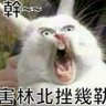 張小明's profile picture