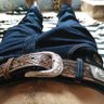 Kleber's profile picture